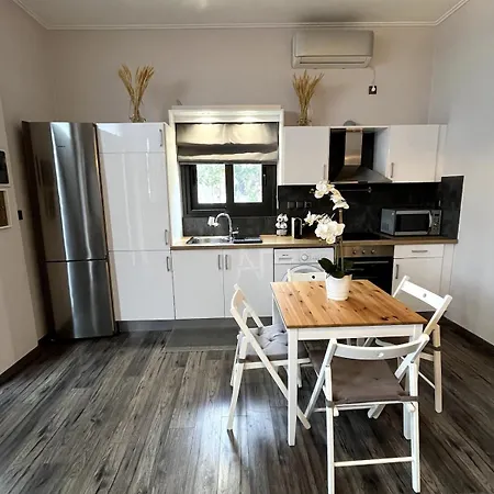 Theros Ii - Seaside Beachfront Apartment Erétria